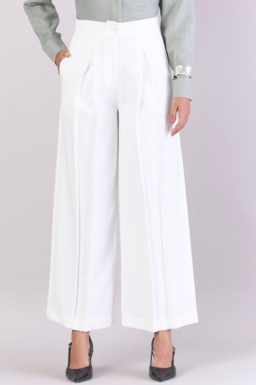Women Comfort Straight Fit High-Rise Pleated Trousers
