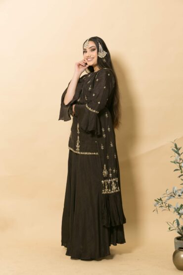 Brown Two-Piece Designer Dress With Embroidery Work