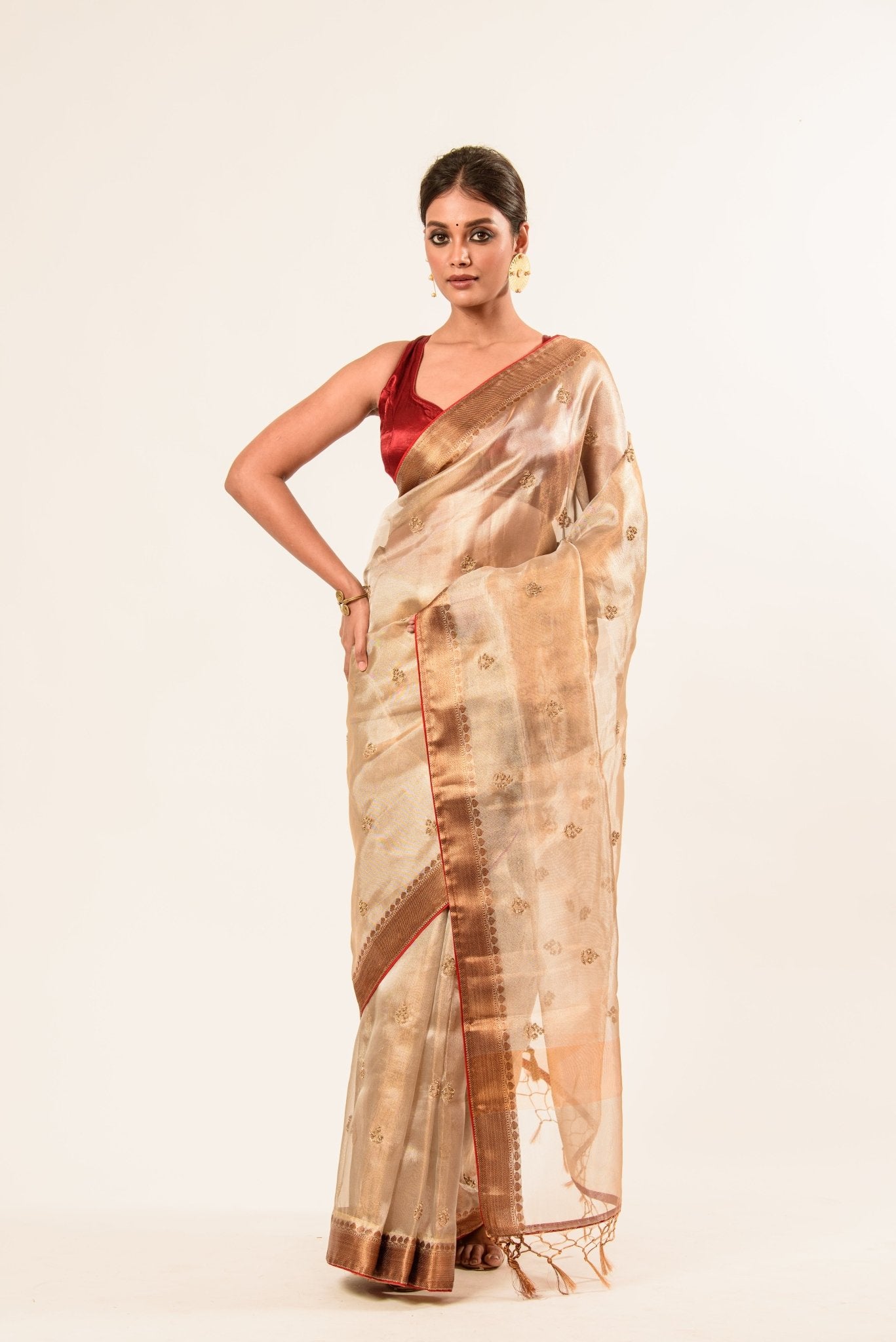 Red and Gold Tissue Silk Saree in Cut Dana Embroidery work
