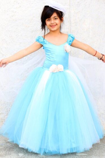 Frozen Princess Tutu Dress